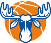 Ostersund W logo
