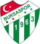 Bursaspor logo