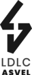 Lyon W logo