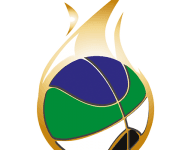 Puerto Montt logo