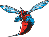 Delaware State logo