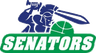 Warwick Senators logo