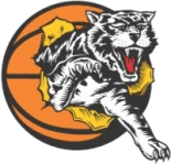Willetton Tigers logo