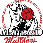 Maitland M. logo