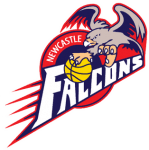 Newcastle Falcons logo