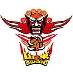 Shandong logo