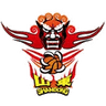 Shandong logo