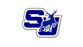 Stanton logo