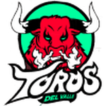Toros del Valle logo