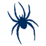 Richmond Spiders W logo