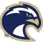 Baptist Bafl logo