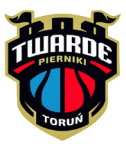 Torun logo