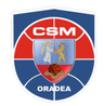 CSM Oradea logo